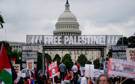 Photos: Protesters rally in Washington, DC before Netanyahu speech