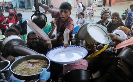 Drive to eliminate global hunger by 2030 has stalled, UN warns