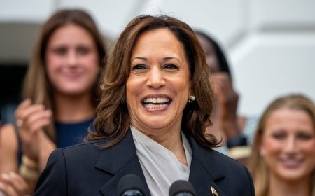 Harris campaign embraces ‘brat,’ coconut tree memes to court young voters 