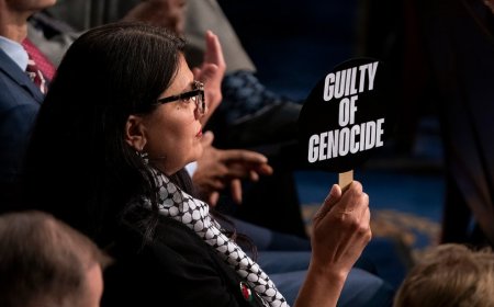 GOP lawmaker says Tlaib should be 'run out of town' over 'genocide' sign