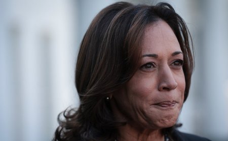 Webpage that rated Kamala Harris the 'most liberal' senator in 2019 suddenly disappears