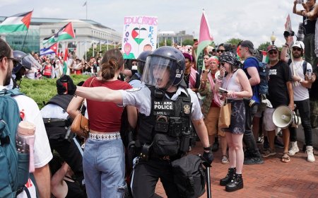 White House condemns pro-Hamas agitators in DC: 'Disgraceful'