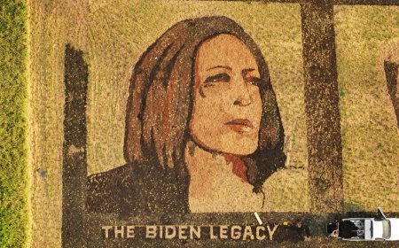 Kansas man creates large portrait of Kamala Harris in field after Biden announces exit from race