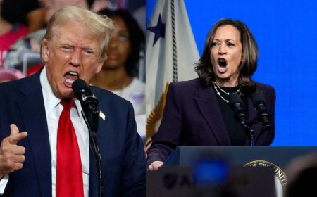 What issues do Trump and Harris want to fight the election on?