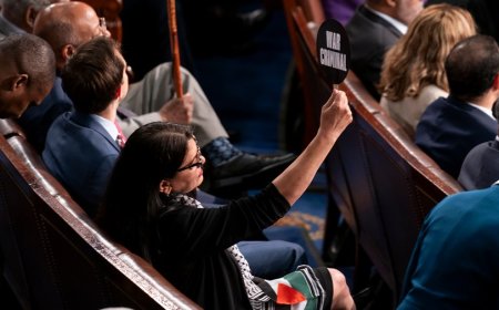 Jeffries defends Tlaib protest at Netanyahu speech