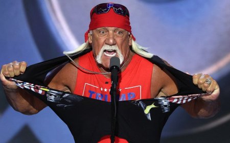Hulk Hogan explains why he appeared at RNC during surprise visit at Lions camp: 'I can’t be silent'