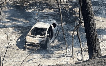 California man arrested after allegedly pushing torched car down embankment, sparking massive fire