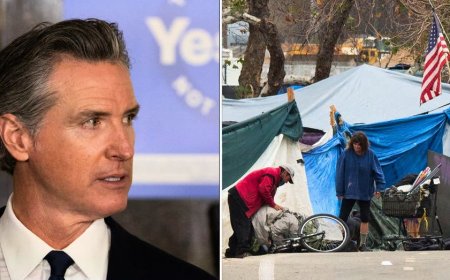 California Senate Republicans blast Newsom 'PR stunt' clearing homeless camps: 'convenient timing'