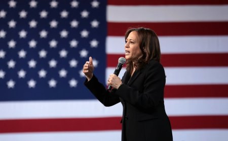 "Cat Lady, Brat": Media Attacks On Kamala Harris Follow A Bleak Pattern
