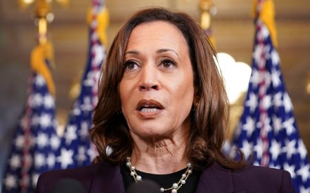 Kamala Harris shifts tone on Gaza, but advocates say US voters want more