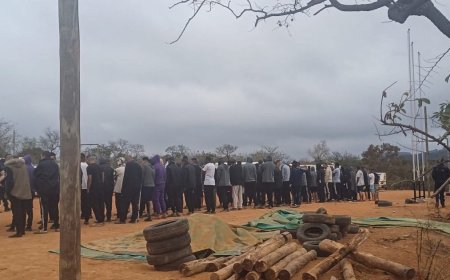 South Africa police say 95 Libyans detained at suspected military camp