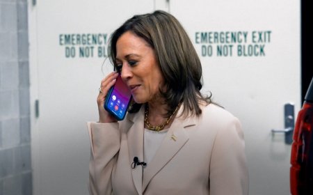 Obamas endorse VP Harris in US presidential election