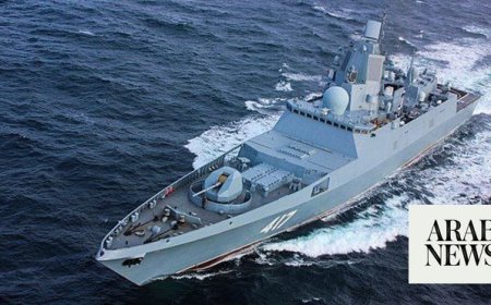 Russian warship docks in Algeria