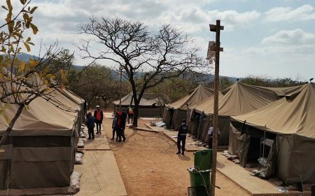 95 Libyan nationals arrested in South Africa at suspected secret military training camp