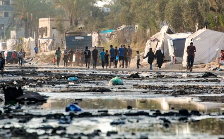 Polio epidemic declared in Gaza in latest sign of worsening health crisis
