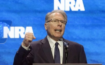 Judge bans Wayne LaPierre from serving in NRA for 10 years, but doesn't appoint a monitor 
