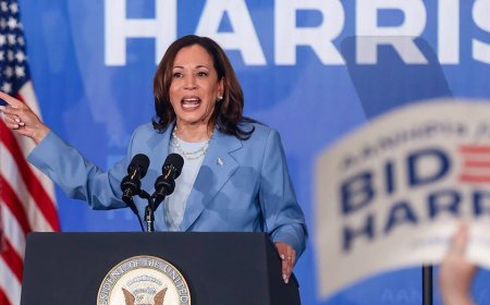 White dudes for Harris brings out celebs; myth in US that men are expected to be 'protectors and providers'