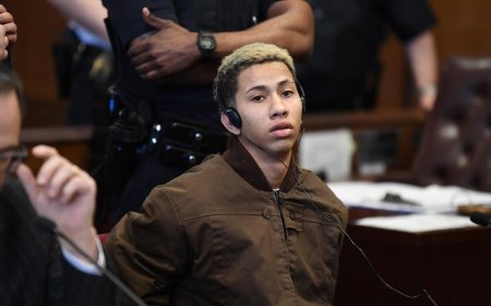 Illegal immigrant in vicious Times Square attack on NYPD cops will spend year in jail with plea deal