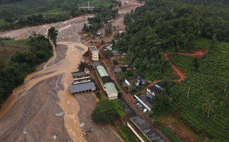 Kerala landslides death toll hits 151, many missing as rain hampers rescue