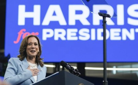Majority of Democrats in new survey support Harris atop ticket