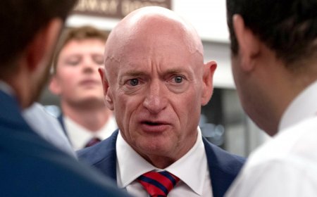 Mark Kelly would break tradition of VP as attack dog