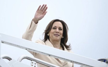 Democrats see Harris putting key swing states back in play
