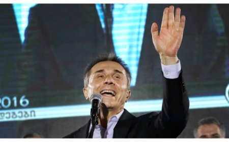 House lawmakers call for sanctions on billionaire former Georgian prime minister