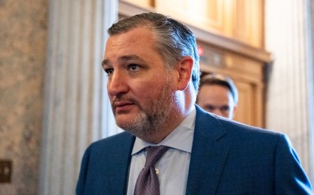 Cruz introduces bill requiring transparency over foreign funds in schools
