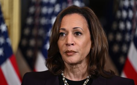 Latest Trump ad attacks Harris as 'border czar'