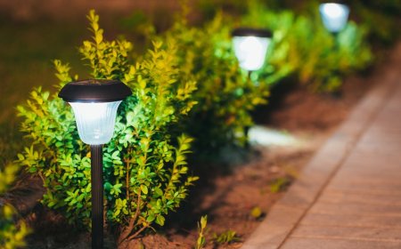 10 solar lights to brighten up your backyard