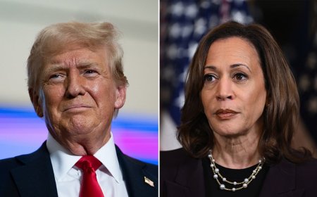 In battle to define Harris, Trump hits Democratic coup, ad calls her 'dangerously liberal'