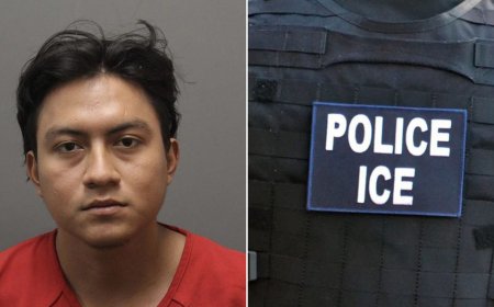 Illegal immigrant accused of running over grandmother in fatal Virginia carjacking