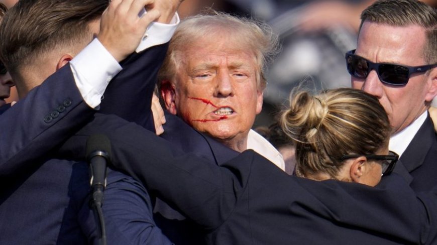Trump shooter’s search history: What we know