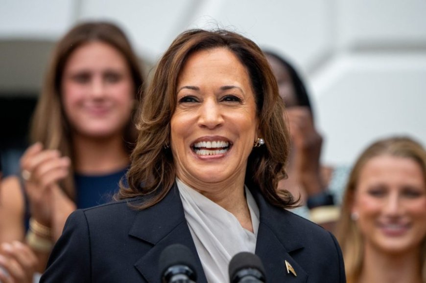 Harris campaign embraces ‘brat,’ coconut tree memes to court young voters