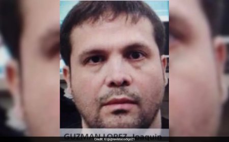 Mexican Drug Lord El Chapo's Son Didn't Kidnap Fellow Gangster, Says Lawyer