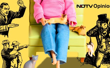 Opinion: Why Do 'Crazy', Childless Cat Ladies Scare Men So Much?