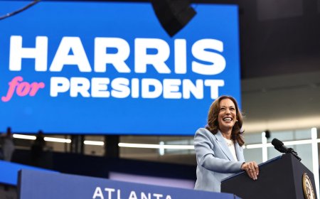 Kamala Harris gets votes needed to secure Democratic nomination: Party