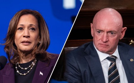 VP contender Mark Kelly dodges questions on Kamala Harris' policy flip-flops