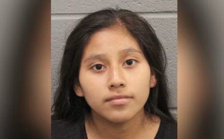 Woman in US illegally allegedly dumps newborn in Houston dumpster, claims she had 'no choice'