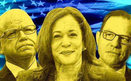 The final odds in the Harris veepstakes