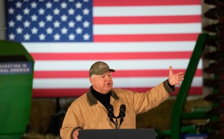 Kamala Harris picks Minnesota Governor Tim Walz as running mate