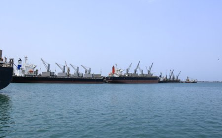 Israel FM calls to ‘swiftly eliminate’ new Hamas chief Sinwar