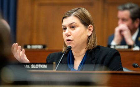 Slotkin wins Democratic Senate primary in Michigan