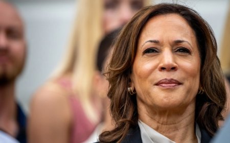 Harris up by 3 points, against Trump alone and with third-party candidates: Poll
