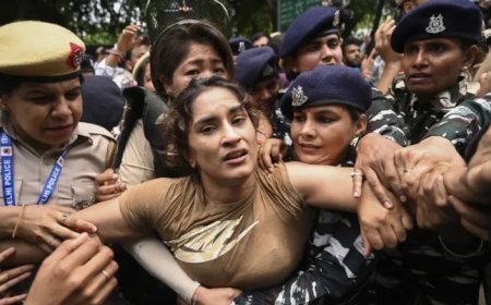 "Kicked, Crushed In Her Own Country": Bajrang Punia's Reminder On Vinesh Phogat After Olympics 2024 Heroics