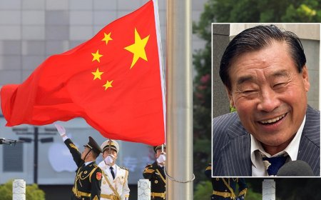 Chinese-American posing as pro-democracy activist spied on dissidents for Beijing: 'The plot of a spy novel'