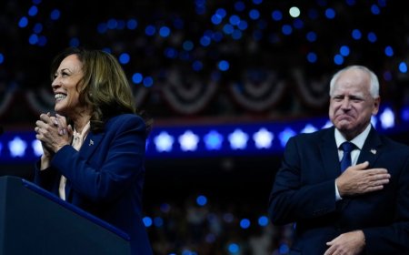 Harris, Walz kick off battleground state swing as VP's running mate introduced to Americans