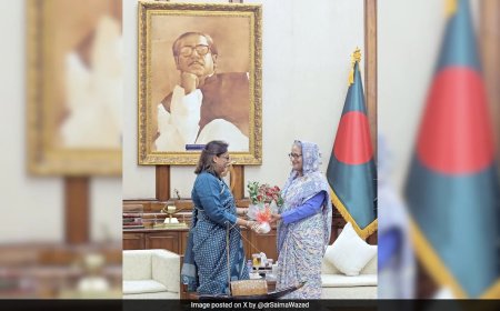"Heartbroken That I Can't See, Hug Her": Sheikh Hasina's Daughter