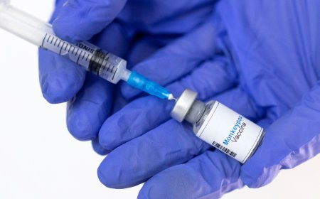 WHO calls emergency meeting to discuss jump in mpox cases from DRC