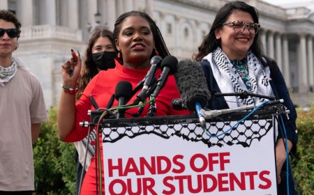 Cori Bush loses Democratic primary after huge campaign by pro-Israel groups